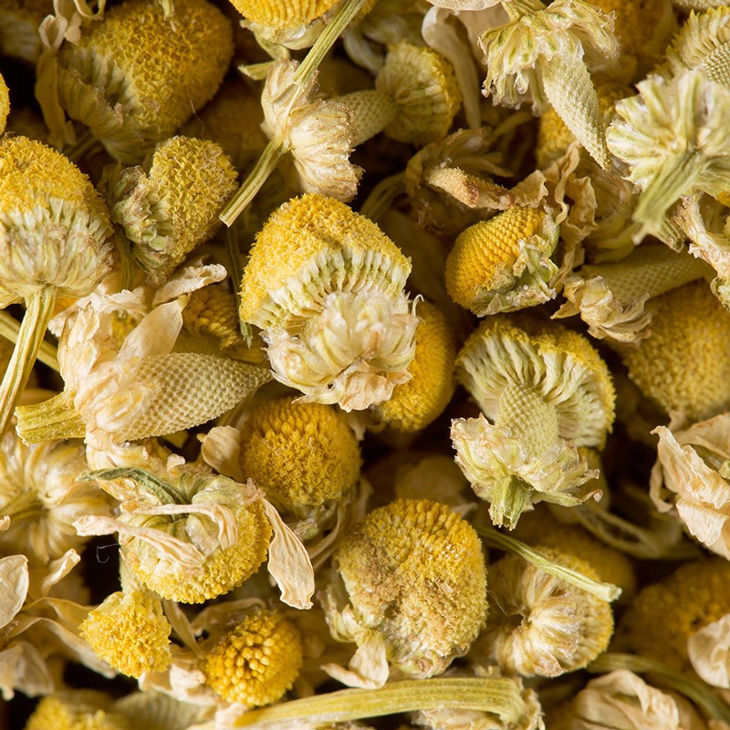 Tisane Camomille matricaire 50 g DAMMANN FRERES
