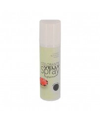 Spray velours pro colorant alimentaire 250mL VELLY SPRAY