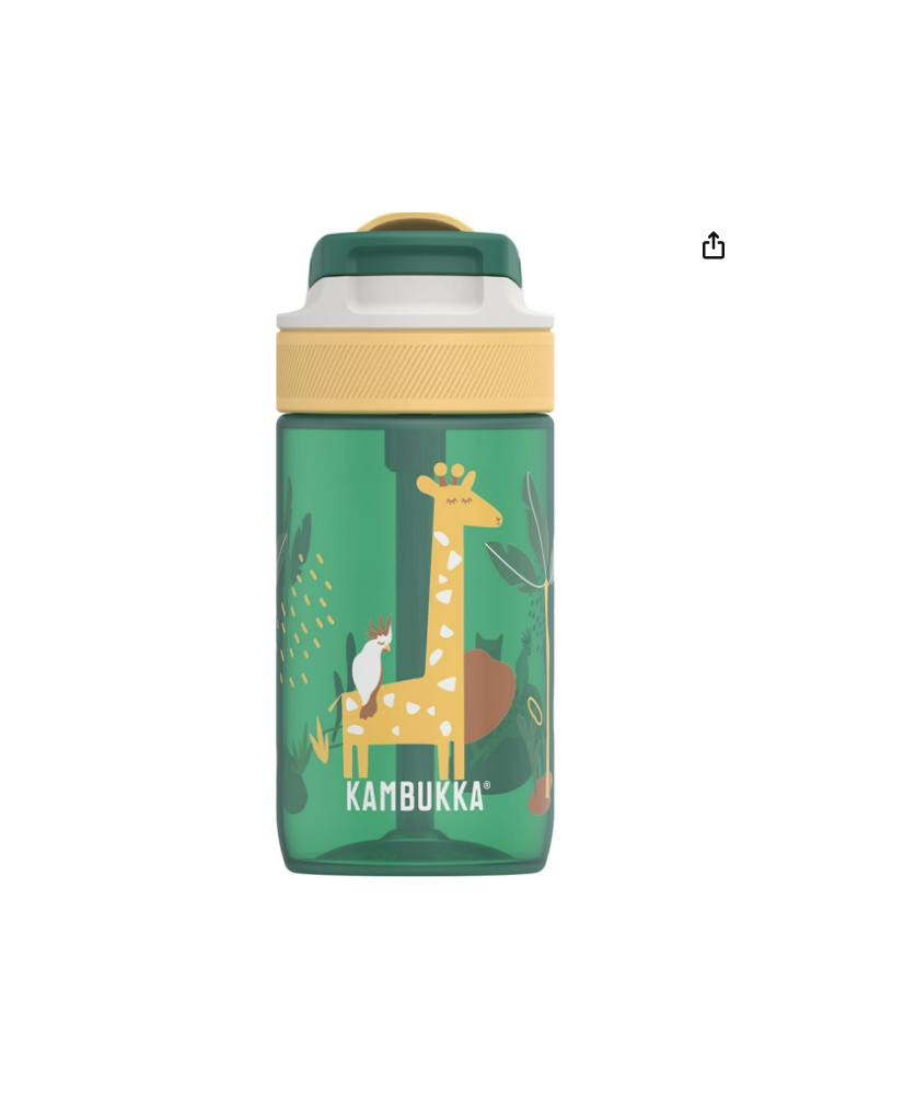 Gourde pour enfant 400ml KAMBUKKA