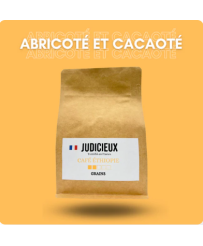 Café Moka Sidamo Ethiopie - JUDICIEUX