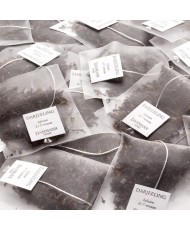 Thé noir Darjeeling 50 sachets DAMMANN FRERES