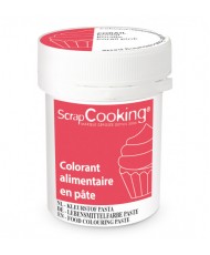 Colorant alimentaire en pâte 20g SCRAPCOOKING