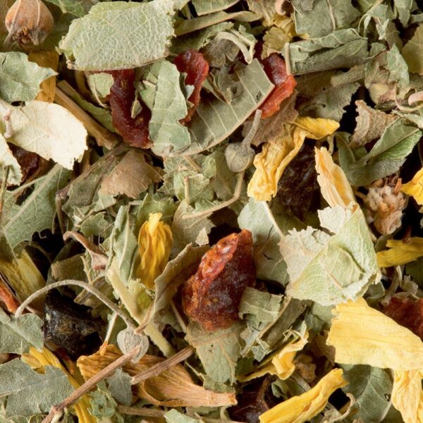 Tisane de la Reyne 50 g DAMMANN FRERES
