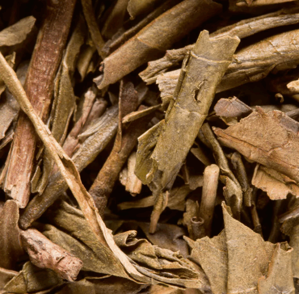 Thé vert du Japon houjicha - DAMMANN FRERES