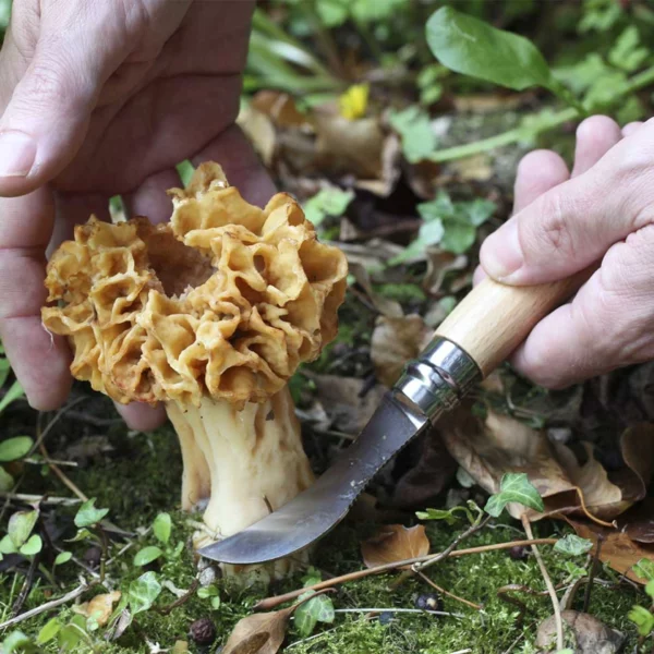 Couteau à champignon N°08 - OPINEL