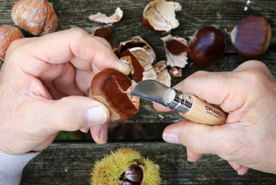 Couteau N°07 Châtaigne ail et dénoyautage - OPINEL