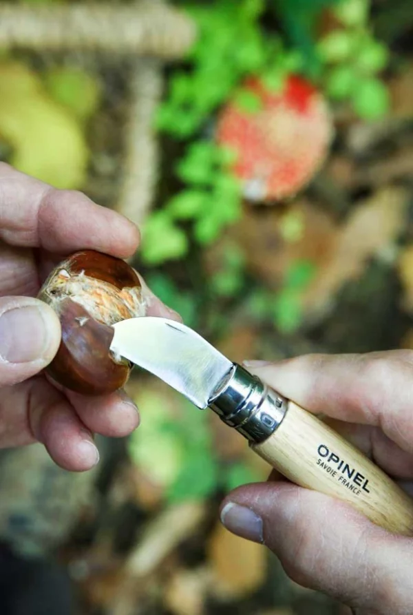 Couteau N°07 Châtaigne ail et dénoyautage - OPINEL