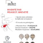 Moulin à poivre Daman Peugeot en acryl transparent et inox 21 cm